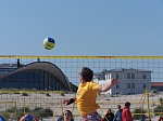 
Gre: 600 x 450, 68780 Byte
Urheber: active beach e.V. (Anna)