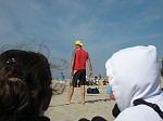 Das aktuelle Top-Bild der VMV-Bildergalerie!