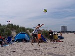 Das aktuelle Top-Bild der VMV-Bildergalerie!