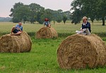 Das aktuelle Top-Bild der VMV-Bildergalerie!
