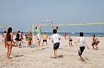 
Gre: 600 x 397, 82444 Byte
Urheber: active beach e.V. (Janine Thiel)