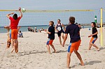 
Gre: 600 x 399, 98307 Byte
Urheber: active beach e.V. (Janine Thiel)
