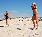 
Gr��e: 600 x 528, 98248 Byte
Urheber: active beach e.V. (Janine Thiel)