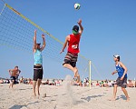 
Gre: 600 x 480, 89323 Byte
Urheber: active beach e.V. (Janine Thiel)