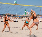 
Gre: 600 x 522, 117014 Byte
Urheber: active beach e.V. (Janine Thiel)