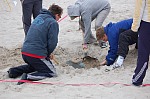 
Gre: 600 x 398, 91682 Byte
Urheber: active beach e.V. (Hannes)