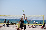 
Gre: 600 x 398, 68772 Byte
Urheber: active beach e.V. (Hannes)