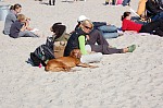 
Gre: 600 x 398, 95817 Byte
Urheber: active beach e.V. (Hannes)