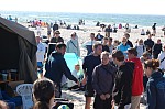 
Gre: 600 x 398, 95210 Byte
Urheber: active beach e.V. (Hannes)