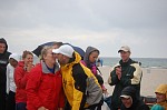 
Gre: 600 x 398, 54620 Byte
Urheber: active beach e.V. (Anna + Melle)