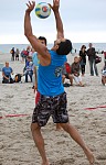 
Gre: 384 x 600, 88943 Byte
Urheber: active beach e.V. (Anna + Melle + Miri)