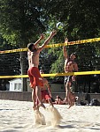 
Gre: 452 x 600, 134612 Byte
Urheber: Udo