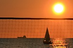 
Gr��e: 700 x 466, 57575 Byte
Urheber: active beach e.V. (Melle)