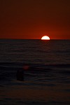 
Gre: 466 x 700, 37443 Byte
Urheber: active beach e.V. (Melle)