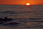 
Gre: 700 x 466, 85150 Byte
Urheber: active beach e.V. (Melle)