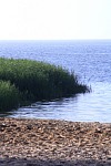 
Gre: 467 x 700, 105722 Byte
Urheber: eldena beach e.V.