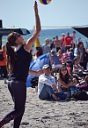 
Gre: 466 x 688, 91892 Byte
Urheber: active beach e.V. (Melle)