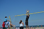 
Gr��e: 700 x 466, 72931 Byte
Urheber: active beach e.V. (Anna + Melle)