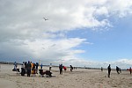 
Gre: 700 x 466, 67076 Byte
Urheber: active beach e.V. (Anna + Melle)