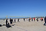 
Gre: 700 x 466, 75592 Byte
Urheber: active beach e.V. (Anna + Melle)
