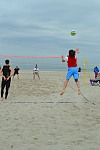 
Gre: 466 x 700, 81022 Byte
Urheber: active beach e.V. (Anna + Melle)