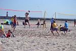 
Gre: 700 x 466, 120168 Byte
Urheber: active beach e.V. (Anna + Melle)