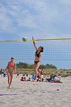 
Gre: 466 x 700, 85122 Byte
Urheber: active beach e.V. (Anna + Melle)