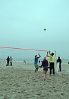 
Gr��e: 466 x 688, 76724 Byte
Urheber: active beach e.V.