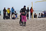 
Gr��e: 700 x 466, 113386 Byte
Urheber: active beach e.V.