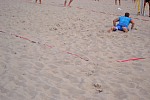 
Gre: 700 x 466, 90613 Byte
Urheber: active beach e.V.