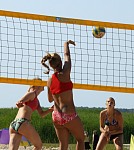 
Gr��e: 628 x 700, 112420 Byte
Urheber: eldenabeach e.V.