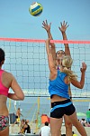
Gre: 467 x 700, 83488 Byte
Urheber: active beach e.V. (Jini)