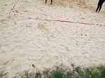 
Gre: 700 x 525, 121104 Byte
Urheber: SV Fortschritt Neustadt-Glewe
