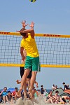 
Gre: 467 x 700, 85167 Byte
Urheber: active beach e.V. (Jini)