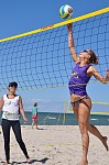 
Gre: 466 x 700, 113911 Byte
Urheber: active beach e.V. (Jini)