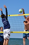 
Gre: 465 x 700, 88715 Byte
Urheber: active beach e.V. (Jini)