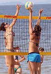 
Gre: 484 x 700, 94844 Byte
Urheber: eldenabeach e.V.