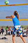
Gr��e: 466 x 700, 101966 Byte
Urheber: active beach e.V. (Jini)