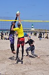 
Gre: 465 x 700, 124312 Byte
Urheber: active beach e.V. (Jini)