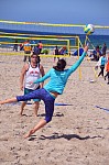 
Gre: 464 x 700, 136699 Byte
Urheber: active beach e.V. (Jini)