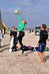 
Gre: 465 x 700, 110148 Byte
Urheber: active beach e.V. (Jini)
