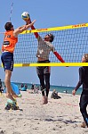 
Gre: 465 x 700, 119807 Byte
Urheber: active beach e.V. (Jini)