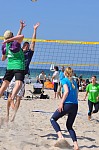 
Gre: 465 x 700, 113514 Byte
Urheber: active beach e.V. (Jini)