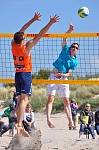 
Gre: 466 x 700, 111498 Byte
Urheber: active beach e.V. (Jini)