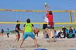 
Gre: 700 x 467, 128140 Byte
Urheber: active beach e.V. (Jini)