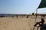Das aktuelle Top-Bild der VMV-Bildergalerie!