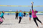 
Gre: 700 x 464, 126682 Byte
Urheber: active beach e.V.