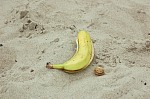 
Gre: 700 x 464, 137257 Byte
Urheber: active beach e.V.