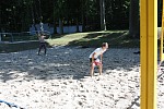 
Gre: 700 x 466, 142335 Byte
Urheber: HSG Uni Rostock (Udo)