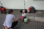 Das aktuelle Top-Bild der VMV-Bildergalerie!